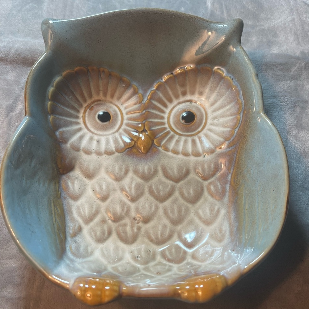 You Looking at Me?! Matching Owl Bowl & Canister - Cute Duo in Dusty Blue